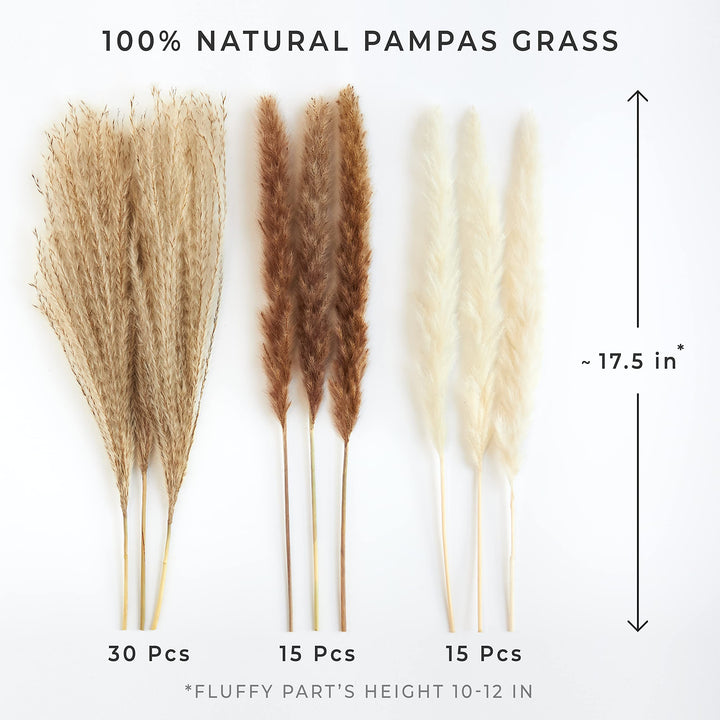 Dried Pampas Grass - 60 Pcs 17.5 inch Premium, White Pampas 15 Pcs, Brown Pampas 15 Pcs, Reed Grass 30 Pcs, Bouquet of Natural Fluffy Pampas Stems for Wedding Decoration &amp; Home Boho Decor