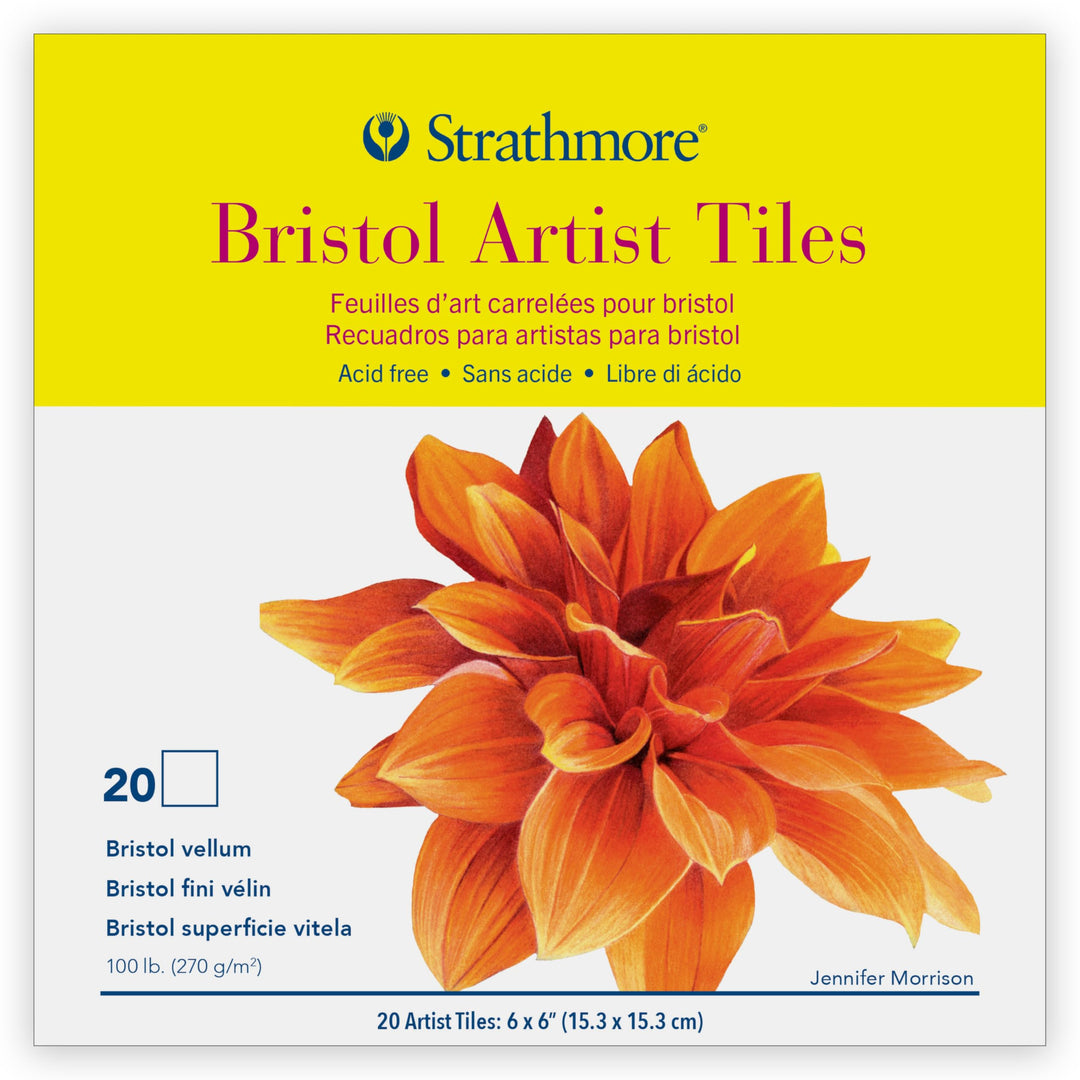 Artist Tiles 6X6 20/Pkg-Bristol Vellum -62105972, White