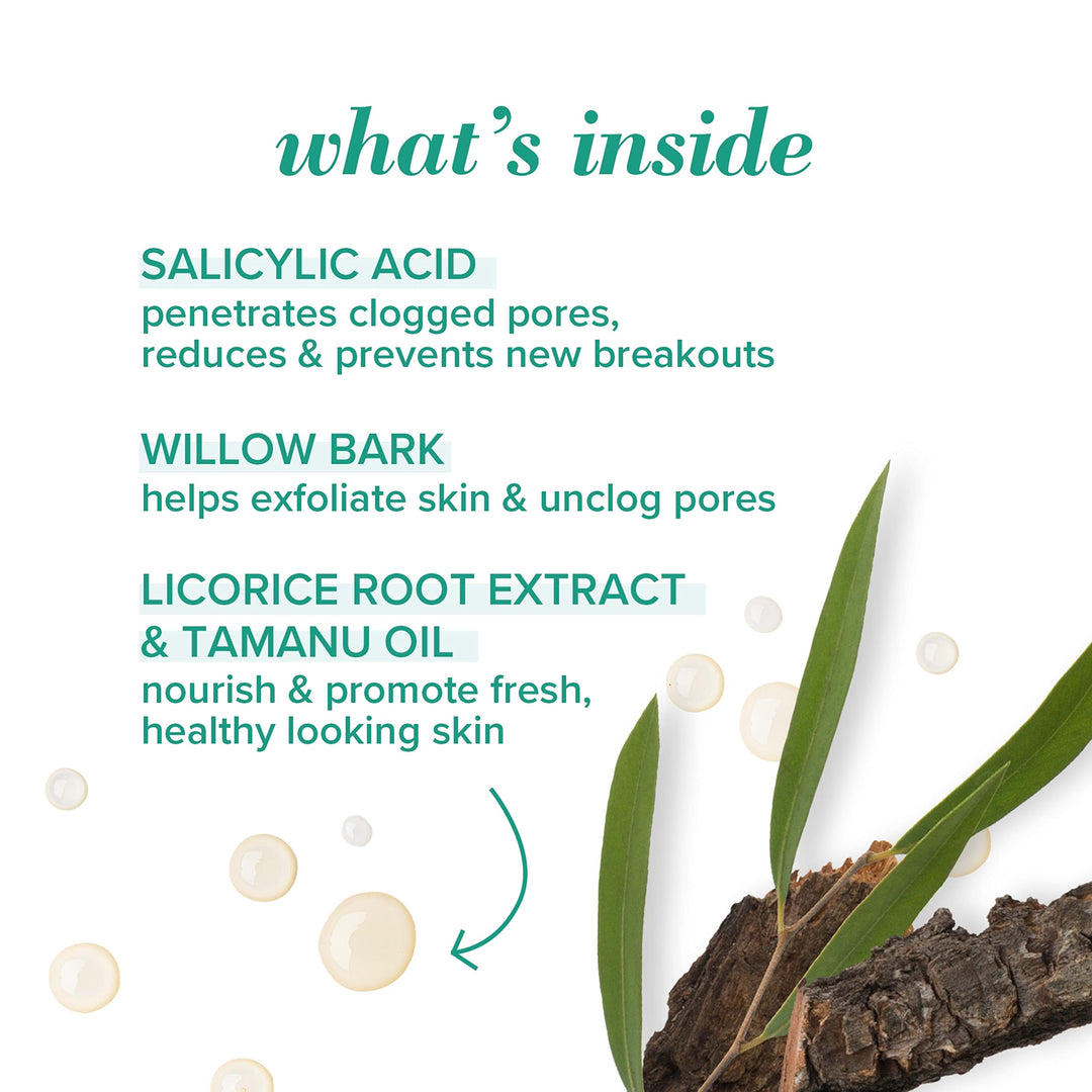 Burt&#39;s Bees Natural Acne Solutions Maximum Strength Spot Treatment Cream 0.5 Ounces