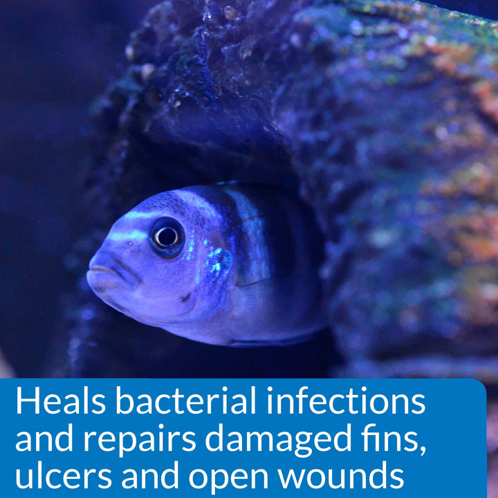 API MELAFIX Freshwater Fish Bacterial Infection Remedy 4-Ounce Bottle