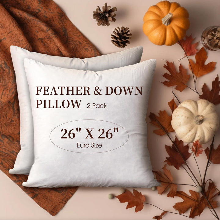 , 26x26 Feather Euro (2 Pack),Hypoallergenic European Sleep Pillow Inserts Sham Square Form, 2 Count (Pack of 1), White
