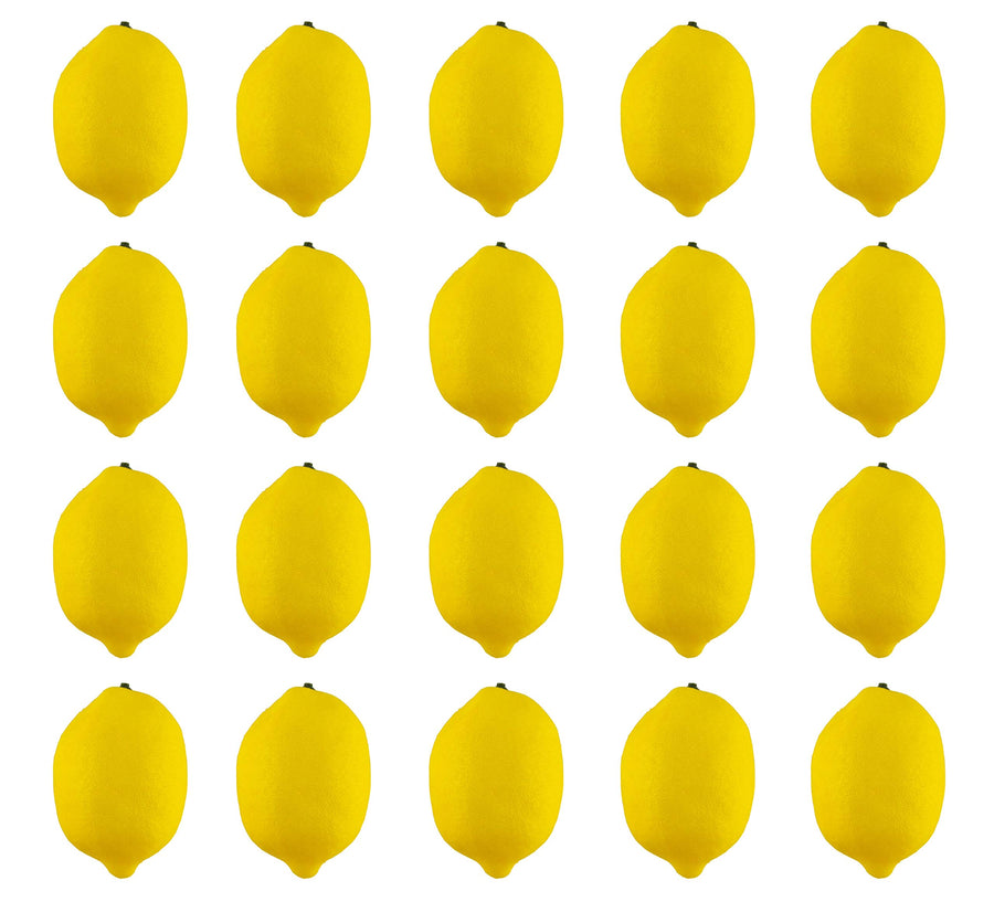 JEDFORE Artificial Lemons Simulation Lifelike Small Lem