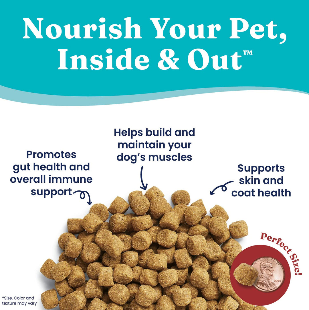 Large Breed Adult Dry Dog Food Whole Grain Kibble with Real Bison, Brown Rice, Sweet Potato and Omega 3 Fish Oil for Dogs, Probiotics - 24 LB