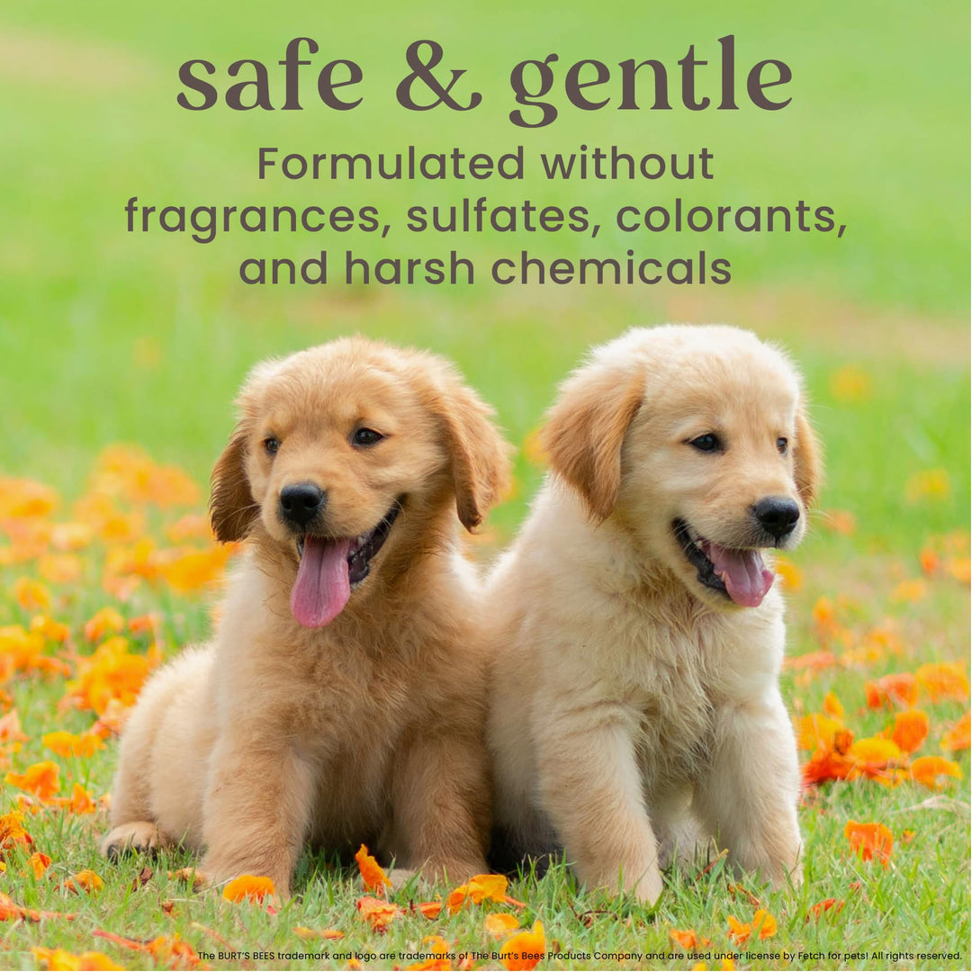 Burt&#39;s Bees for Pets Tearless Puppy 2-in-1 Shampoo and Conditioner with Buttermilk and Linseed Oil, 95% Natural Origin Formulas, Shampoo for Puppies - Gentle Puppy Shampoo Tear Free, 16 oz