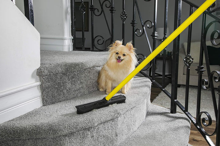 Original Pet Hair Rubber Broom with Squeegee, with 58 Telescopic Handle for Carpet, Tile and Hardwood