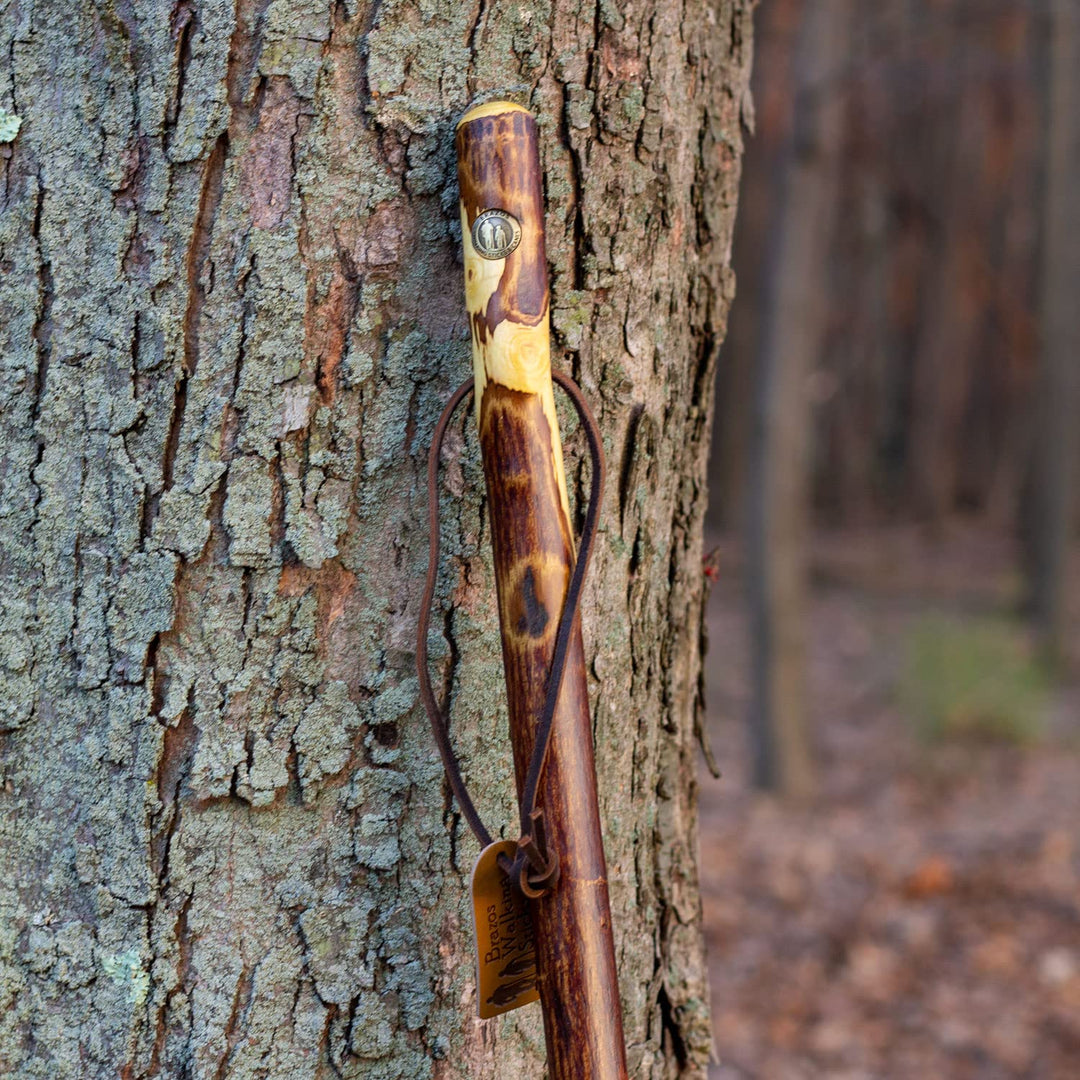 Free Form Hawthorn Wood Walking Stick Hiking Trekking Pole, 48 Inch, Made in the USA