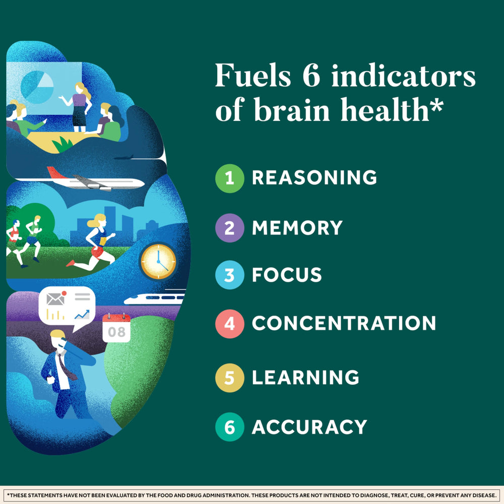 Plus Brain Supplement for Memory and Focus Clinically Tested Nootropics for Concentration for Mental Clarity, Cognitive Enhancement Vitamins B6, B12, Phosphatidylserine 30 Capsules