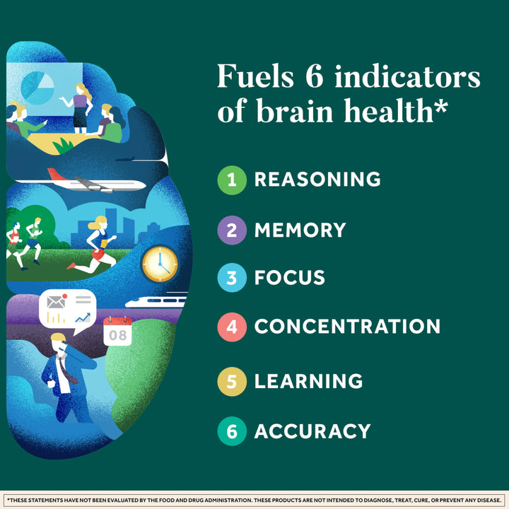 Plus Brain Supplement for Memory and Focus Clinically Tested Nootropics for Concentration for Mental Clarity, Cognitive Enhancement Vitamins B6, B12, Phosphatidylserine 30 Capsules