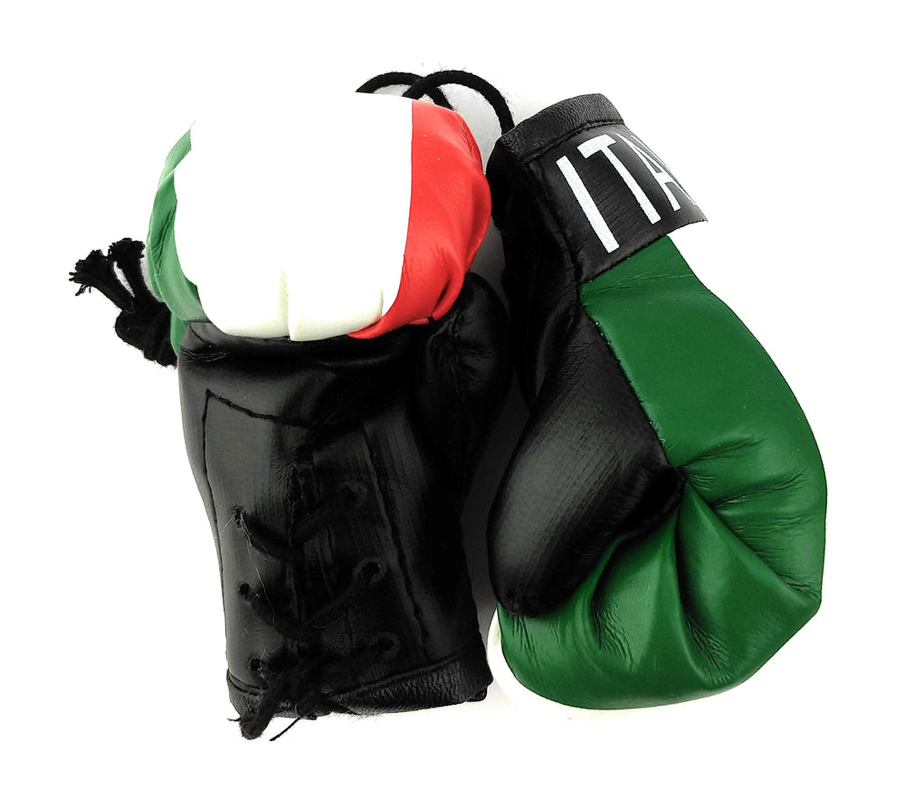 Hanging Car Mirror Mini Boxing Gloves (Italy)