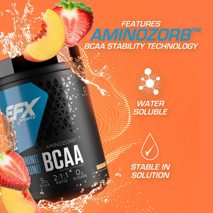 EFX Sports Training Ground BCAA | Fully Stable, Highly Soluble Amino Acids Supplement | Pre, Intra, or Post Workout | Sugar Free | 500 Grams (Strawberry Peach)
