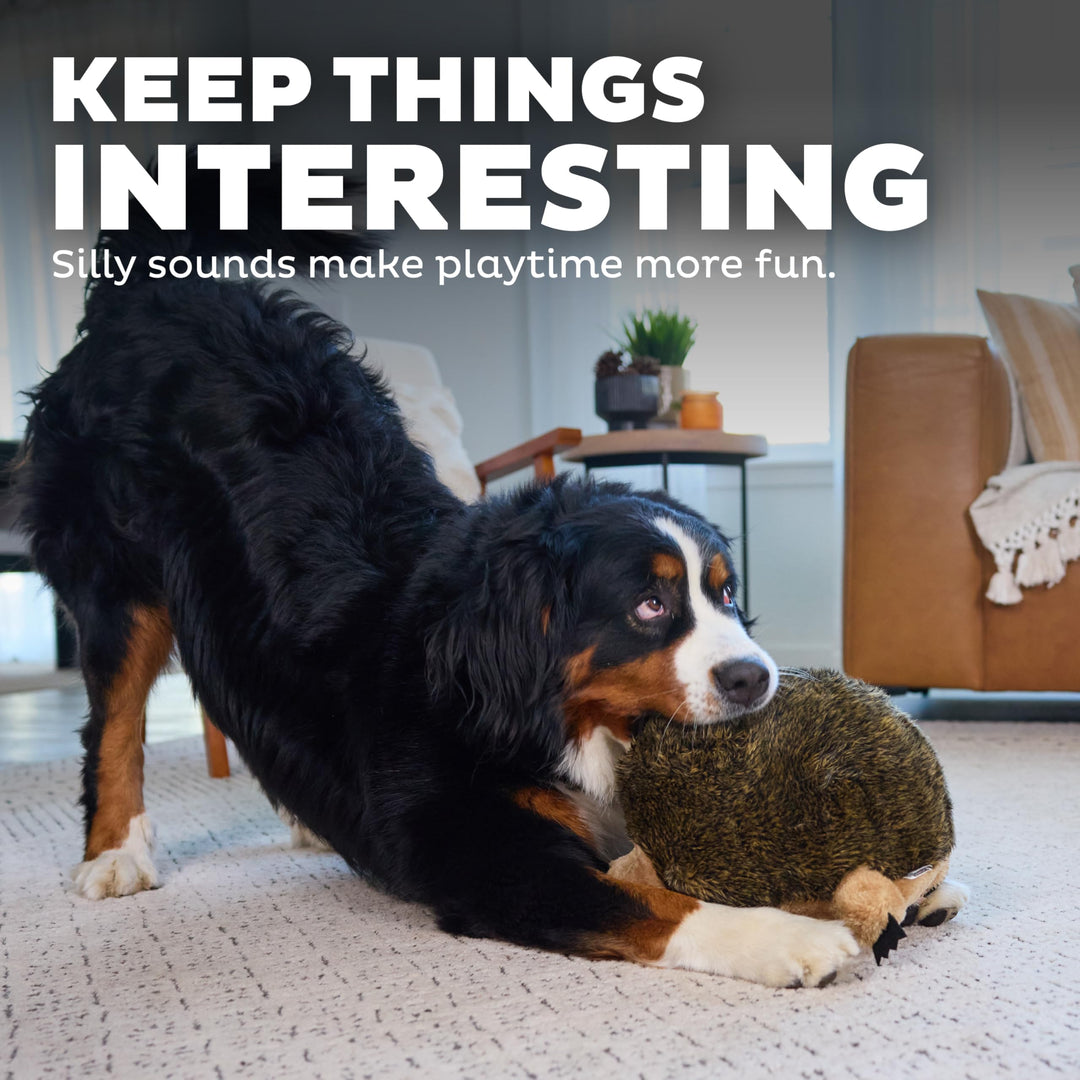 , Hedgehogz Plush Dog Toy, XL