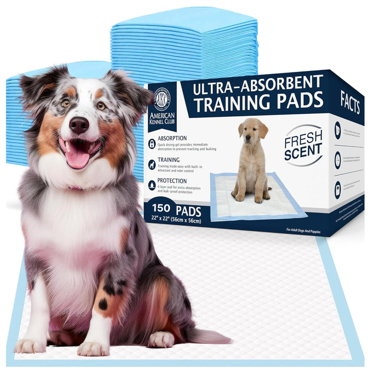 Ultra Absorbent Odor Control Scented Training Pads For Dogs Leak-proof Quick Dry Gel – 22 x 22 Puppy Pads - Fresh Scented - Pack of 150