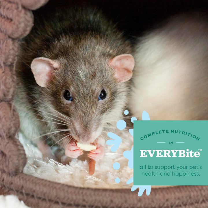 Oxbow Essentials Adult Rat Food - All Natural Adult Rat Food - 10 lb.