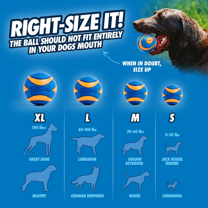 Ultra Squeaker Balls for Dogs, Floating Water Pet Toys, Durable Rubber Pet Toy, Bouncy Squeaky Fetch Balls For Dogs, Pack of 2, Medium (2.5)