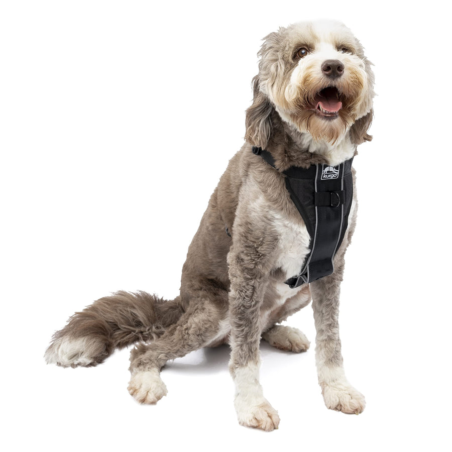 Tru-Fit Smart Harness, Dog Harness, Pet Walking Harness, Quick Release Buckles, Front D-Ring for No Pull Training, Includes Dog Seat Belt Tether (Black, Large)