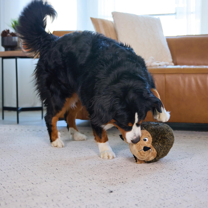 , Hedgehogz Plush Dog Toy, XL