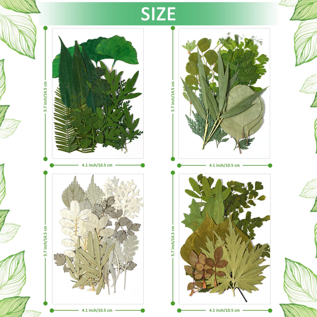 84 Pieces Dried Pressed Leaves Dried Flowers for Resin Dried Leaves for Resin Mini Dried Flowers for Crafts Dried Greenery Assorted for Art DIY Handmade Bookmarks 4 Bags(Classic Style)