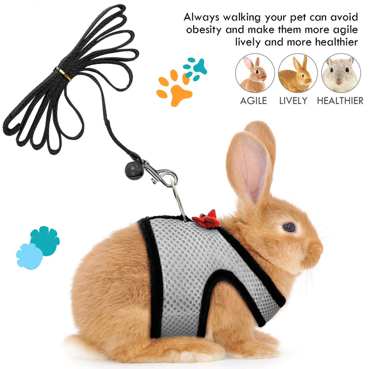 2 Pieces Guinea Pig Clothes Soft Mesh Guinea Pig Harness with Safe Bell, Baby Ferret Harness and Leash Set for Hamster, Baby Ferrets, Rats, Guinea Pig, Chinchilla, Teacup Chihuahua (Grey, Red,S)