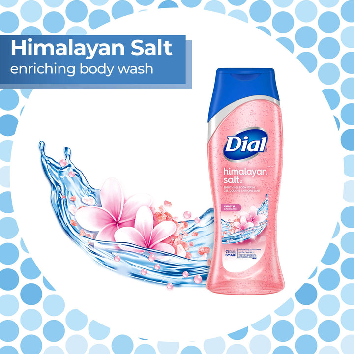 Dial Body Wash, Skin Therapy Himalayan Pink Salt & Water Lily, 16 Fluid Ounces