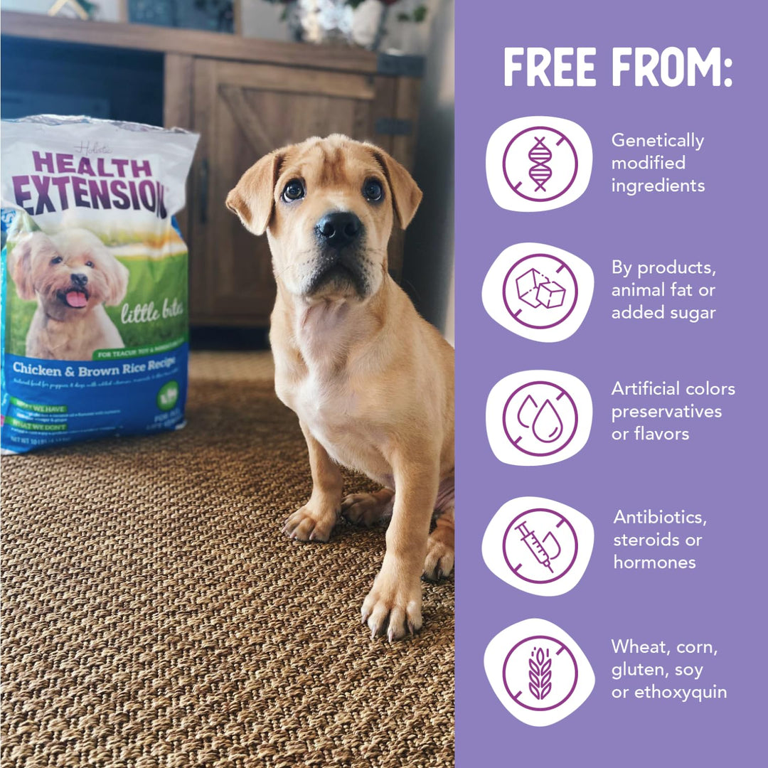 Little Bites Chicken &amp; Brown Rice Dry Dog Food (30 lb / 13.6 Kg) - Natural with Probiotics and Superfoods for Teacup, Toy &amp; Small Breeds