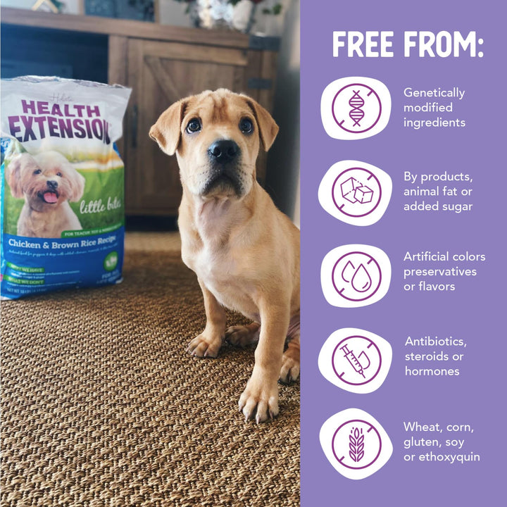 Little Bites Chicken &amp; Brown Rice Dry Dog Food (30 lb / 13.6 Kg) - Natural with Probiotics and Superfoods for Teacup, Toy &amp; Small Breeds