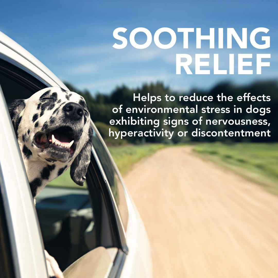 Vet&#39;s Best Comfort Calm Calming Soft Chews Dog Supplements | Dog Calming Aid Supports Dog Balances Behavior | Promotes Relaxation | 30 Day Supply