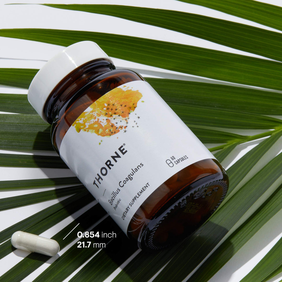 THORNE Bacillus Coagulans Probiotic - Shelf Stable Prob