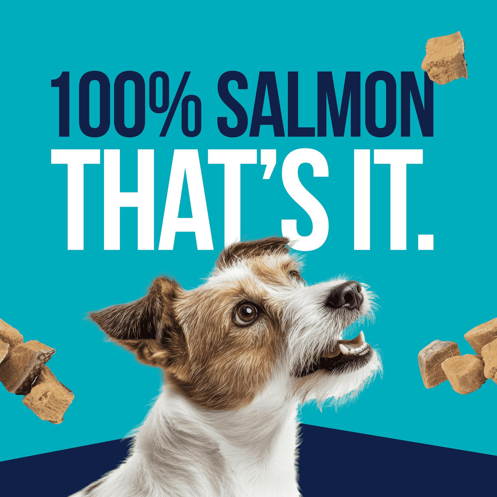 Single Ingredient Freeze Dried Raw Dog Treats, Wild Salmon, 9.5 Ounce Resealable Tub, Training Treats or Meal Topper for All Size Dogs, High Protein, Grain-Free, Gluten-Free