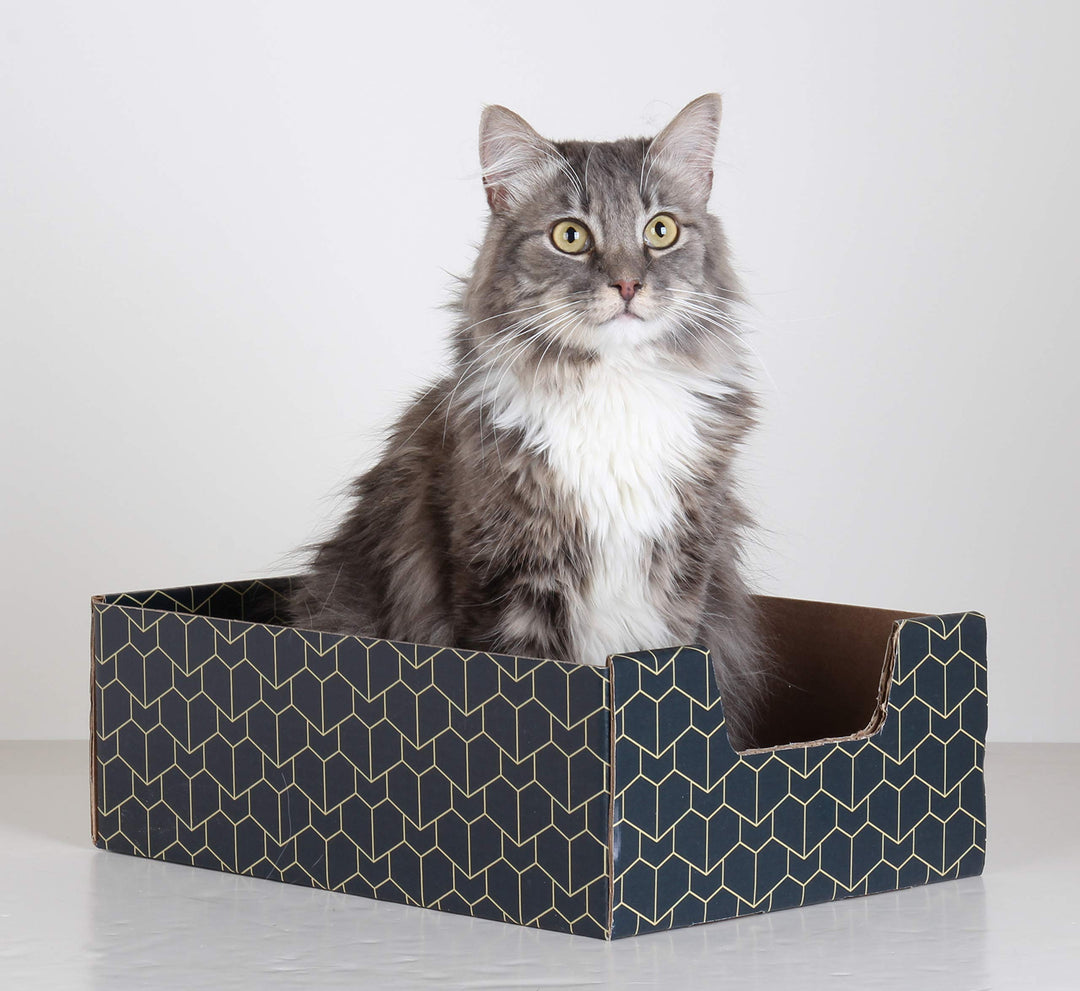 Lounger with Peek-a-Boo Cutout | Premium Corrugated Cardboard Cat Bed for Relaxation | Interactive Cat Box for Indoor Cats, Blue