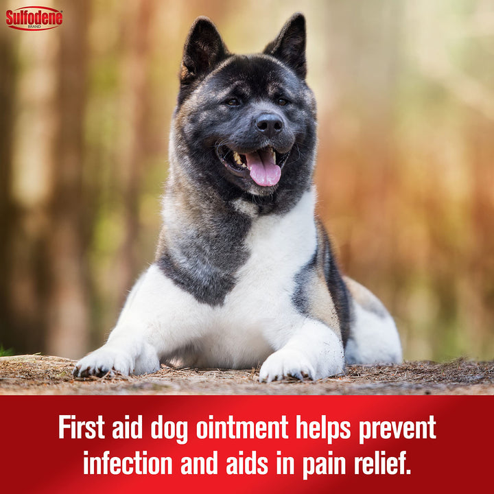 Dog Wound Care 3-Way Ointment, Relieves Pain &amp; Prevents Infection For Dog Cuts, Scrapes, Bites and Injuries, 2 Ounce