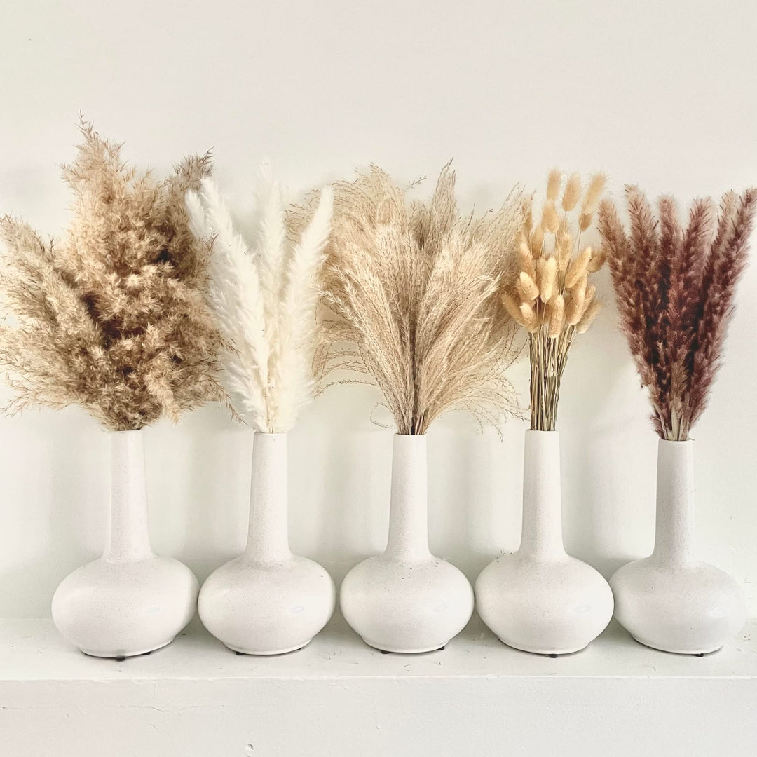 125 PCS Dried Pampas Grass Bouquet - Boho Flowers - Boho Pampas Grass Decor - Bunny Tails Small Pampas Grass - Pompas Floral - Mini White Pampas - Pampass Grass Bulk - Dried Gras