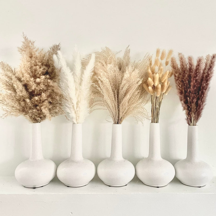 125 PCS Dried Pampas Grass Bouquet - Boho Flowers - Boho Pampas Grass Decor - Bunny Tails Small Pampas Grass - Pompas Floral - Mini White Pampas - Pampass Grass Bulk - Dried Gras