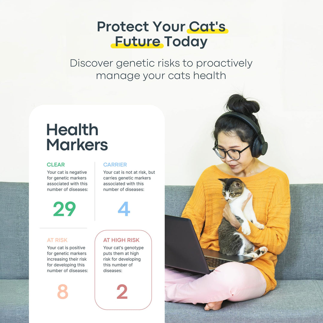 Cat DNA Test Kit - Comprehensive Breed, Health and Dental Analysis Across 114 Traits for Accurate and Easy-to-Use Genetic Insights