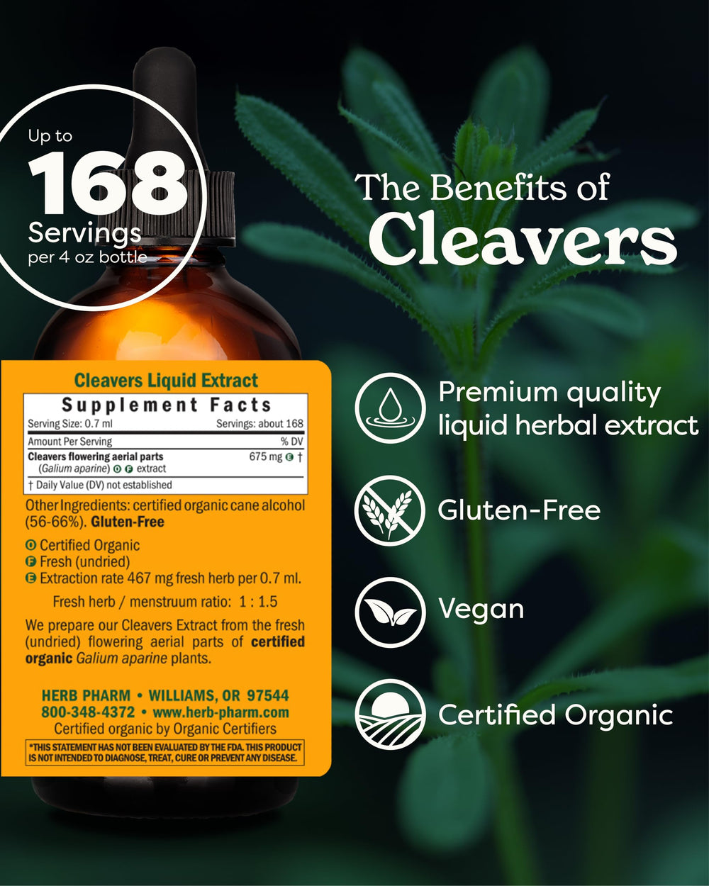 Cleavers Liquid Extract - 4 Ounce