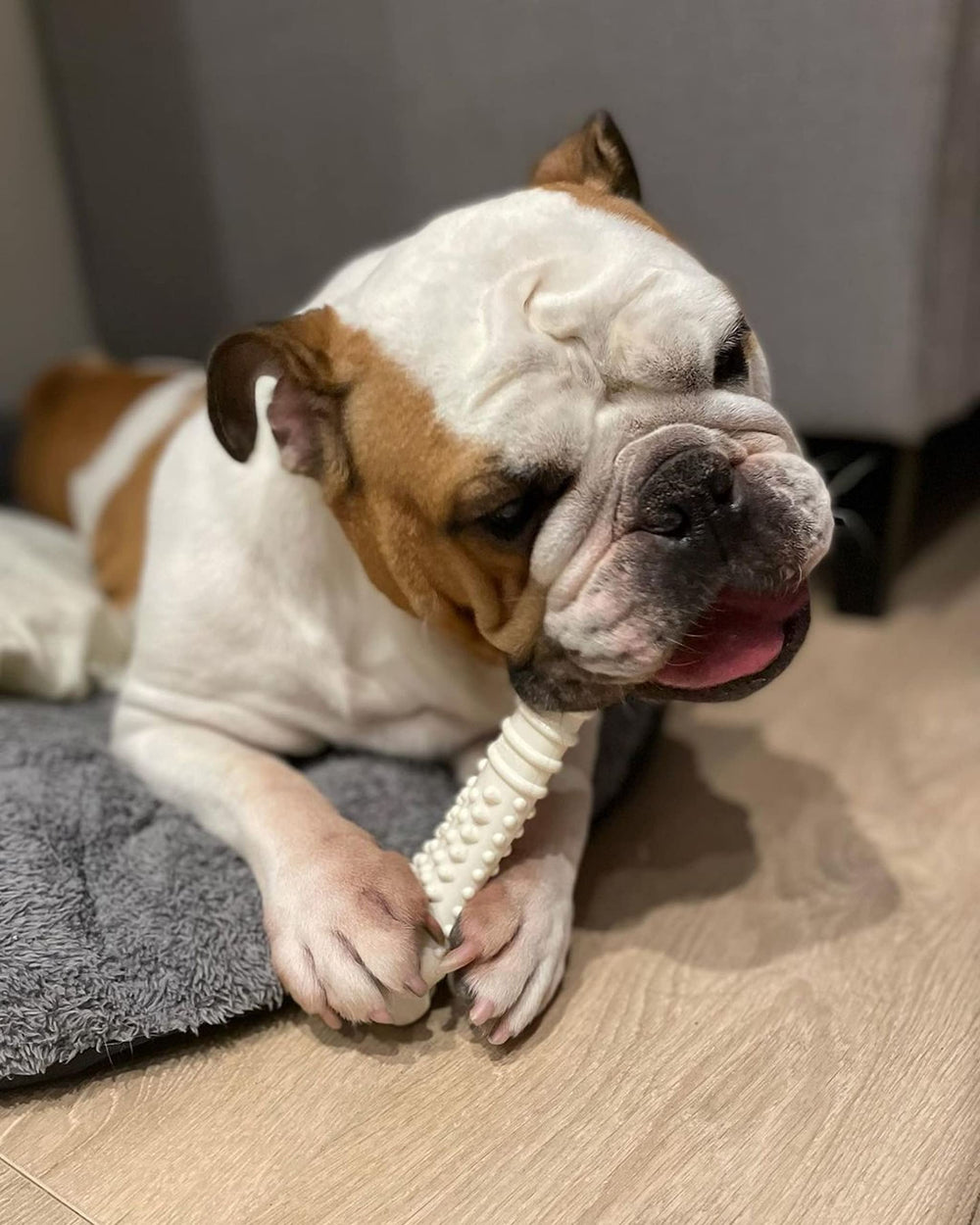 Textured Knuckle Bone Power Chew Toy for Dogs, Durable & Tough Dog Toys for Aggressive Chewers, Chicken Flavor, X-Large - 50+ lbs, 1 Count