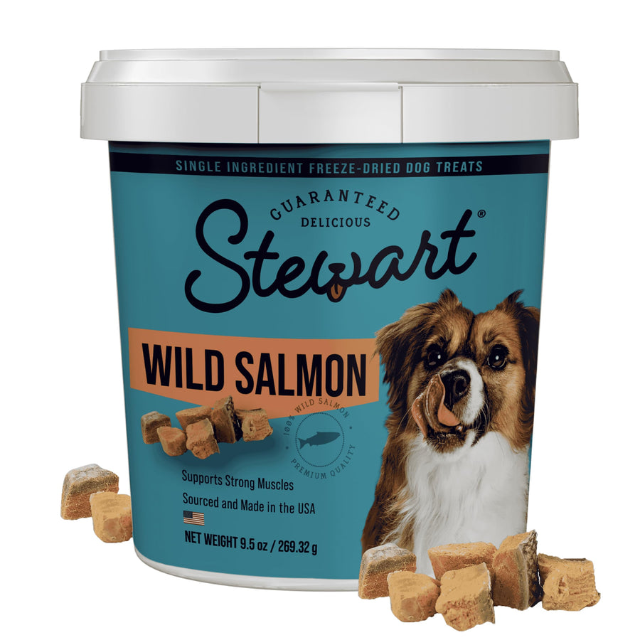 Single Ingredient Freeze Dried Raw Dog Treats, Wild Salmon, 9.5 Ounce Resealable Tub, Training Treats or Meal Topper for All Size Dogs, High Protein, Grain-Free, Gluten-Free
