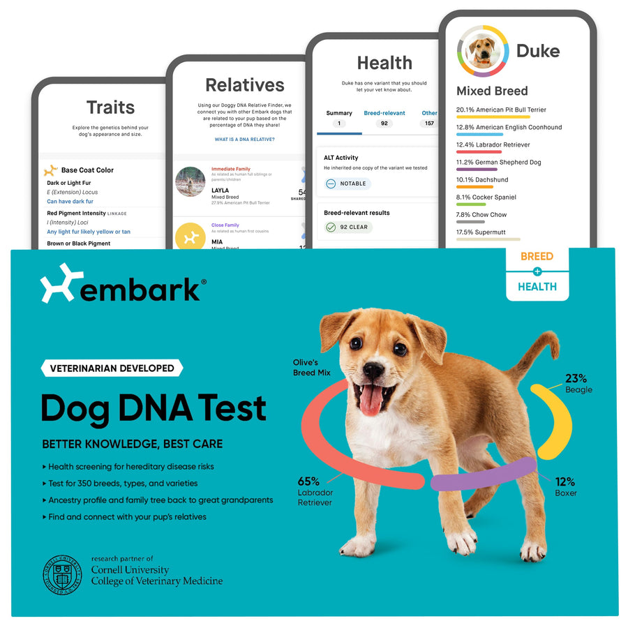 Breed & Health Kit - Dog DNA Test - Discover Breed, Ancestry, Relative Finder, Genetic Health, Traits, COI