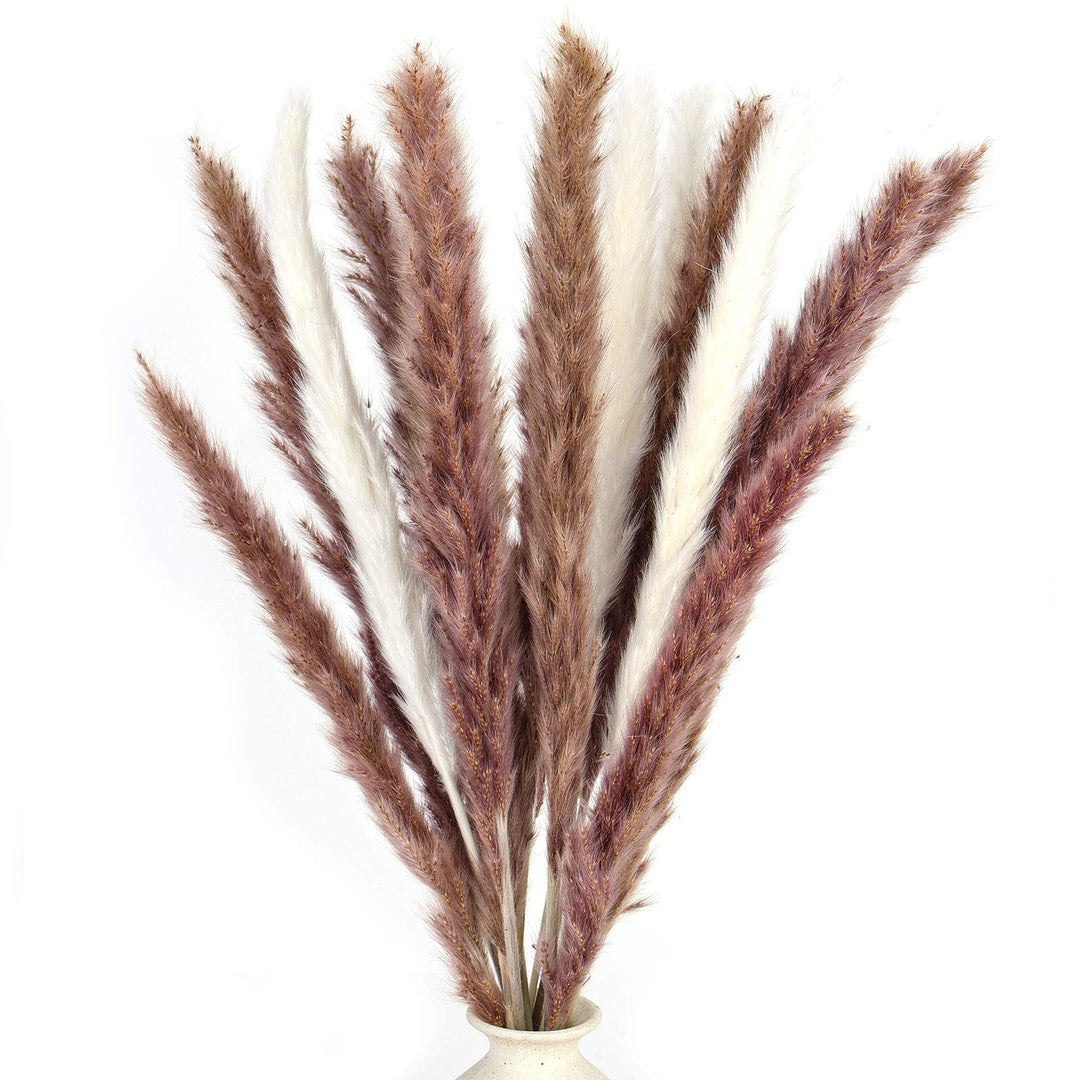 DomeStar 36PCS Pampas Grass, Natural Dried Pampas Reed Grass Plume Wedding Flower