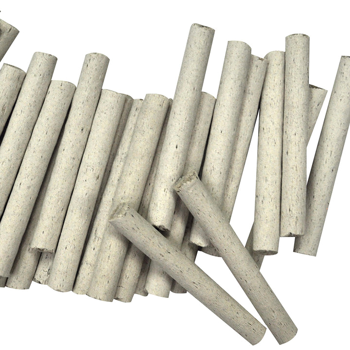 Jobe&#39;s Plant Food Fertilizer Spikes, Easy Plant Care for All Ferns and Palm Plants, 30 Count