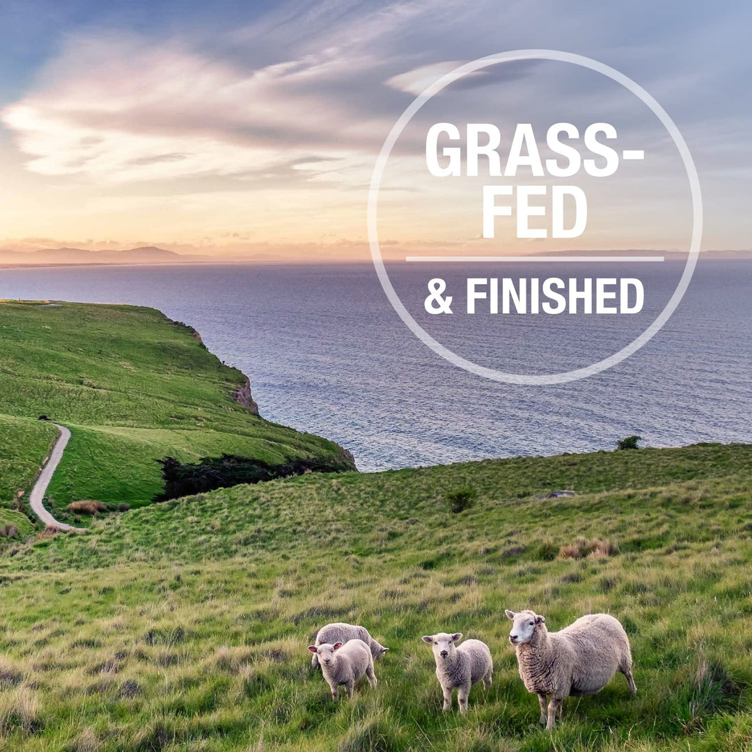 - Grain Free Freeze Dried Dog Food Supplement Booster - Lamb Green Tripe, 7oz