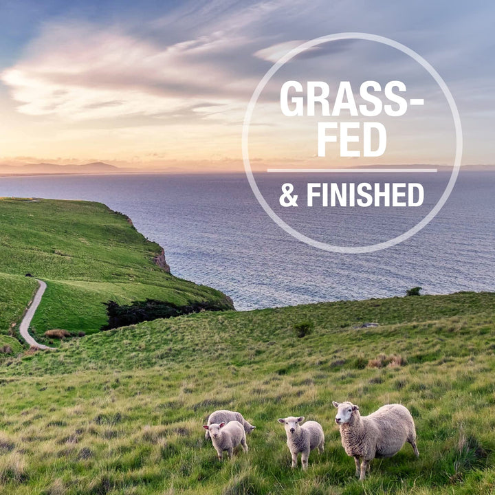 - Grain Free Freeze Dried Dog Food Supplement Booster - Lamb Green Tripe, 7oz