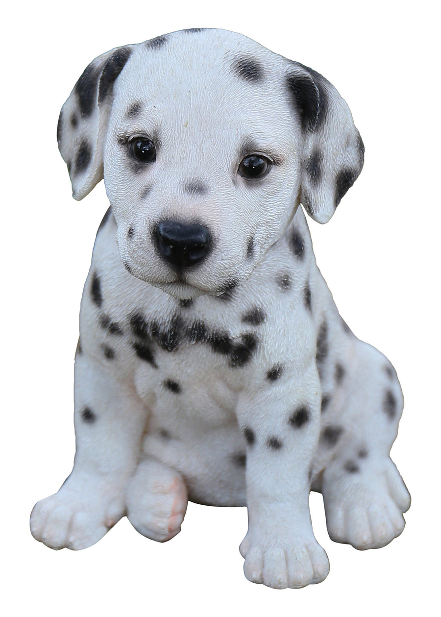 Dalmatian Puppy Statue