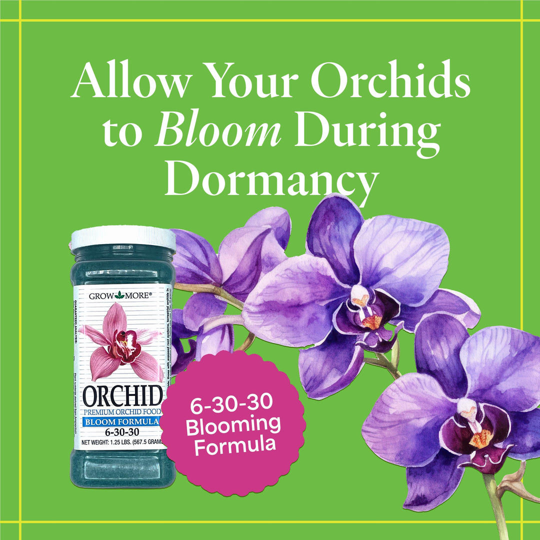 Premium Orchid Food Bloom Formula 1.25 lbs. 6-30-30