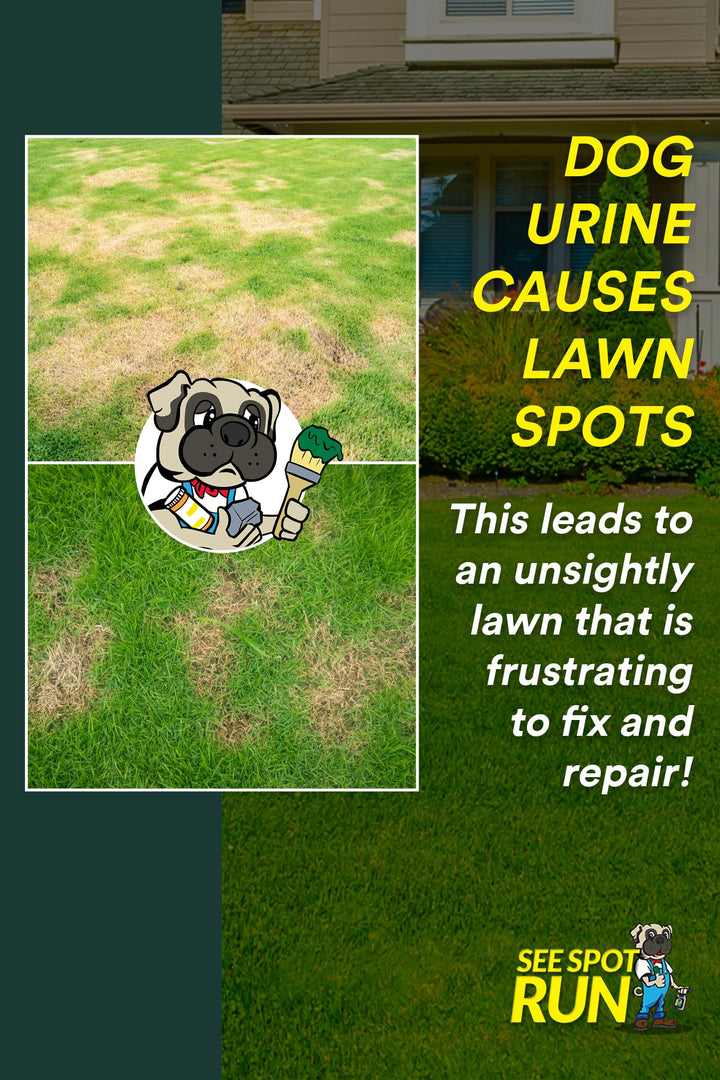 Eliminate Yellow Spots On Your Lawn Caused by Dog Urine | All-Natural, Safe for Pets and Humans | Made in The USA | Ready-to-Mix Gallon (32 oz)
