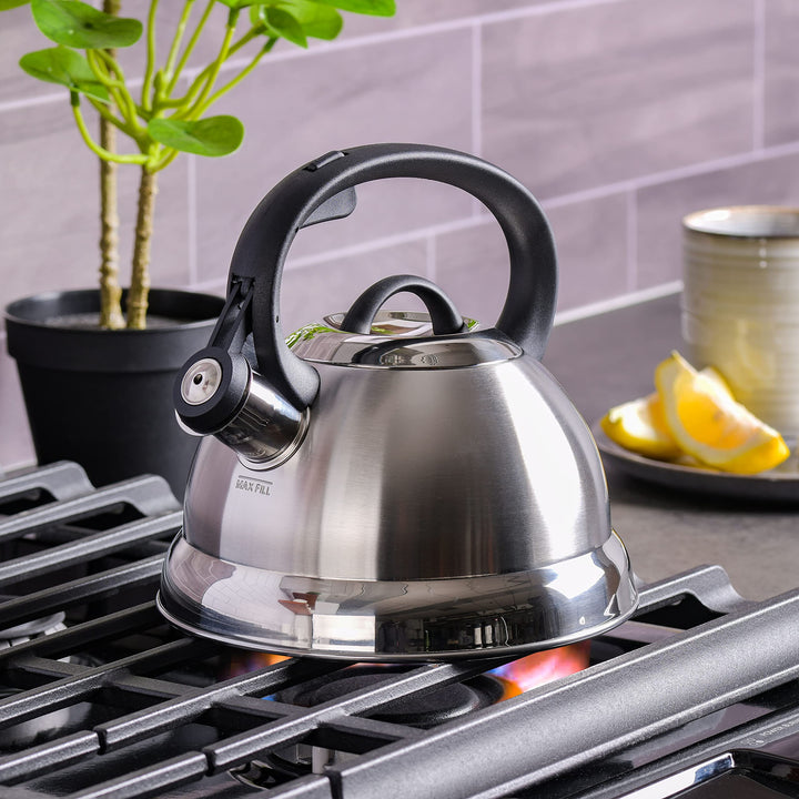 Flintshire Stainless Steel Whistling Tea Kettle, 1.75-Quart, Silver