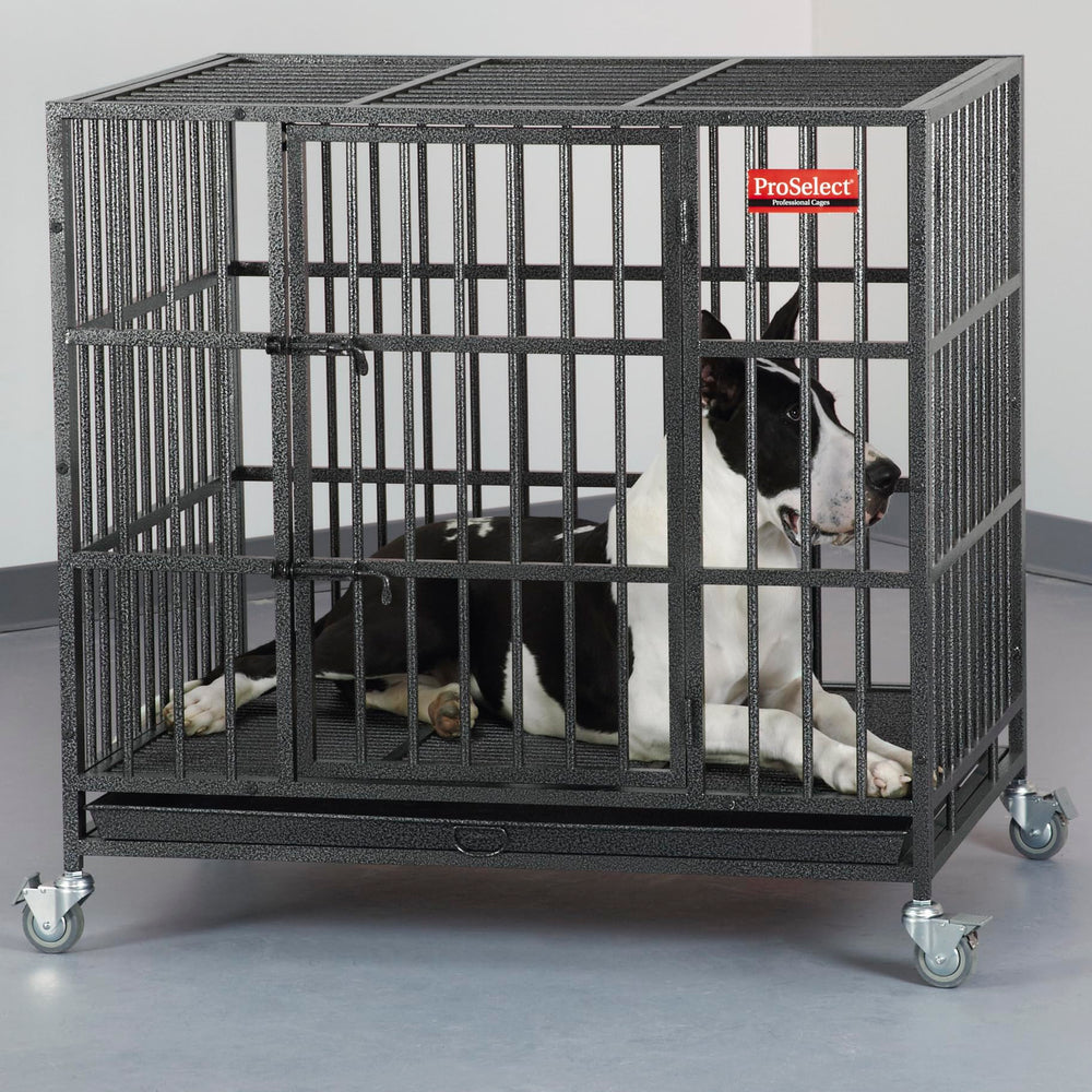 Empire Cage - LARGE