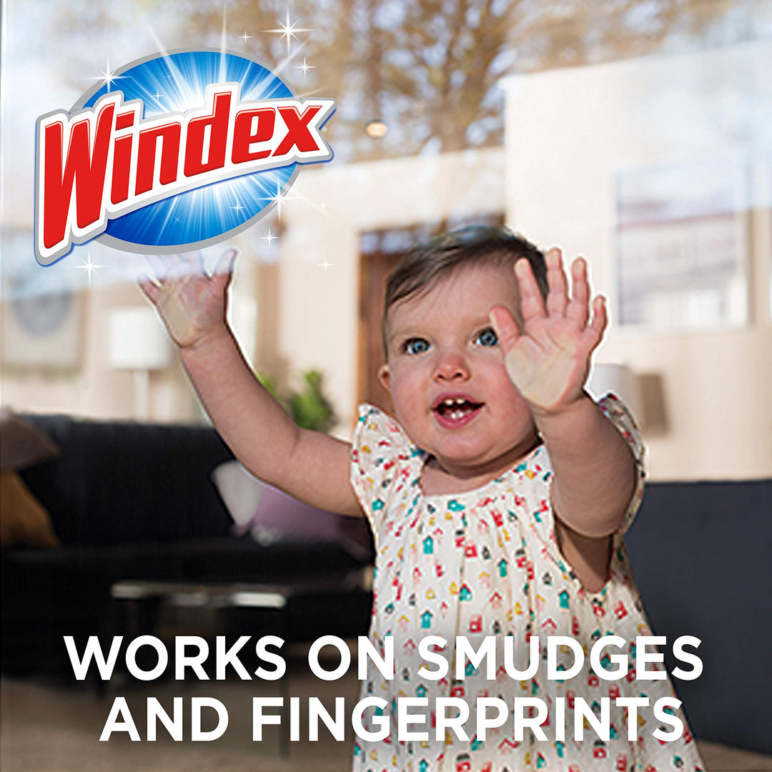 Windex Wipes Glass Cleaning Ammonia Free, Pre-Moistened