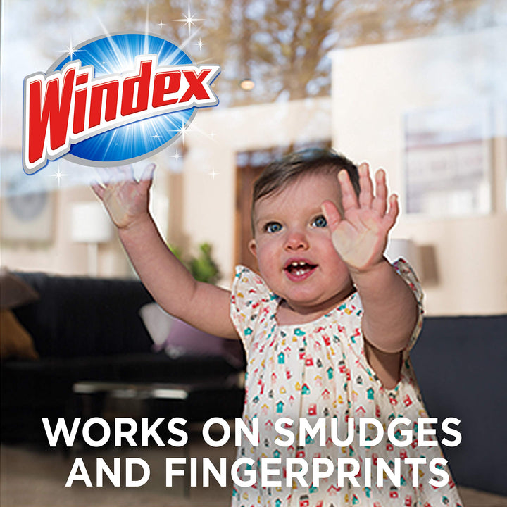Windex Wipes Glass Cleaning Ammonia Free, Pre-Moistened