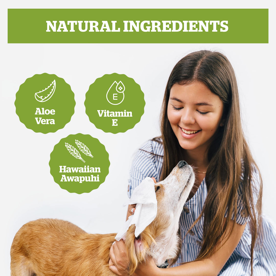 Pogi&#39;s Dog Grooming Wipes - 100 Dog Wipes for Cleaning and Deodorizing - Plant-Based, Hypoallergenic Pet Wipes for Dogs, Puppy Wipes - Quick Bath Dog Wipes for Paws, Butt, &amp; Body - Green Tea Scented