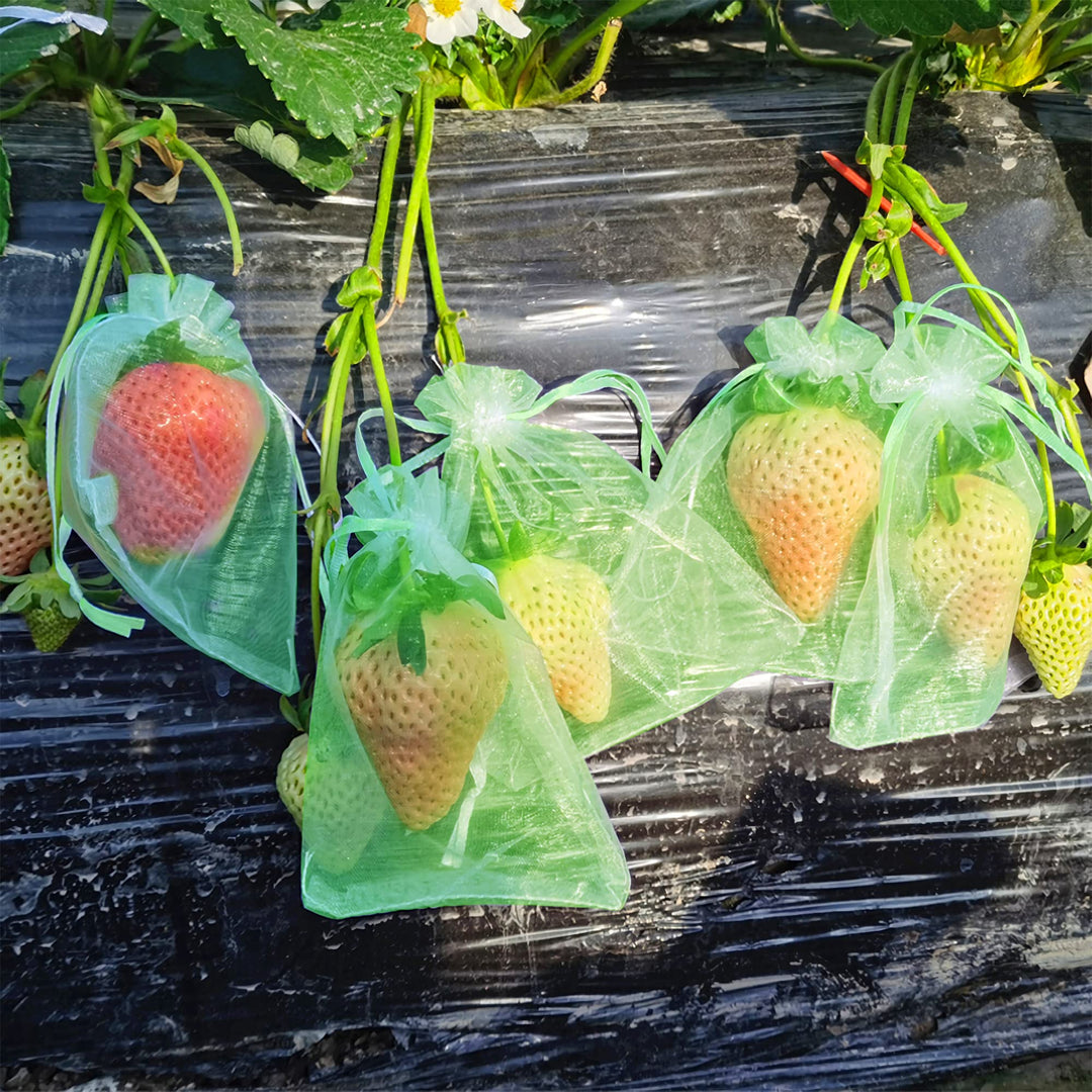 100 Pieces Green Fruit Protection Bags- 6x8 Inch Fruit Netting Bags with Drawstring,Garden Fruit Cover Mesh Bag to Protect Plants from Pest Birds Squirrels